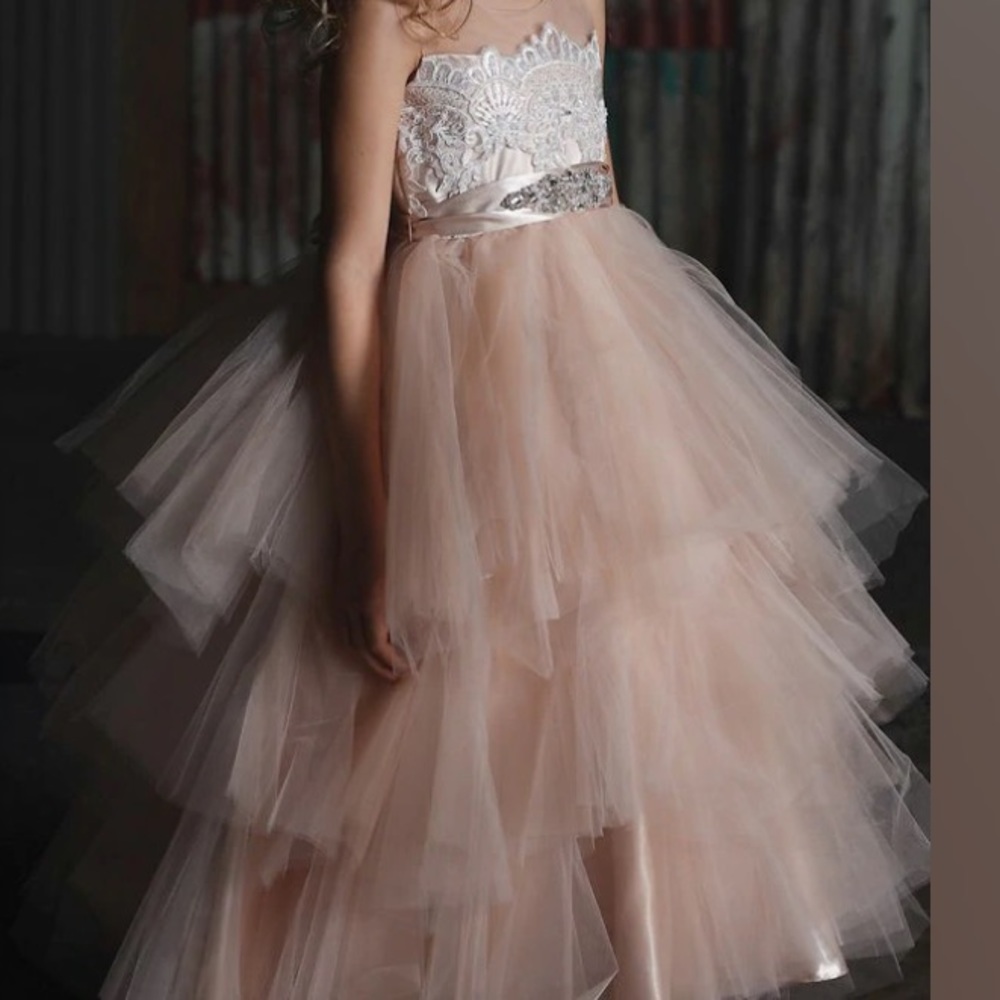 Petite Adele 2/3T - Tulle Multi Tiered Skirt With Embroider Applique Dress